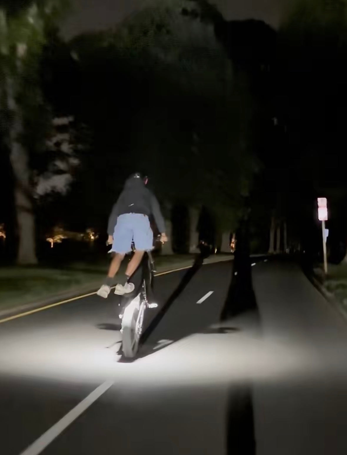 Rock Light (Works For Many Different Bikes)