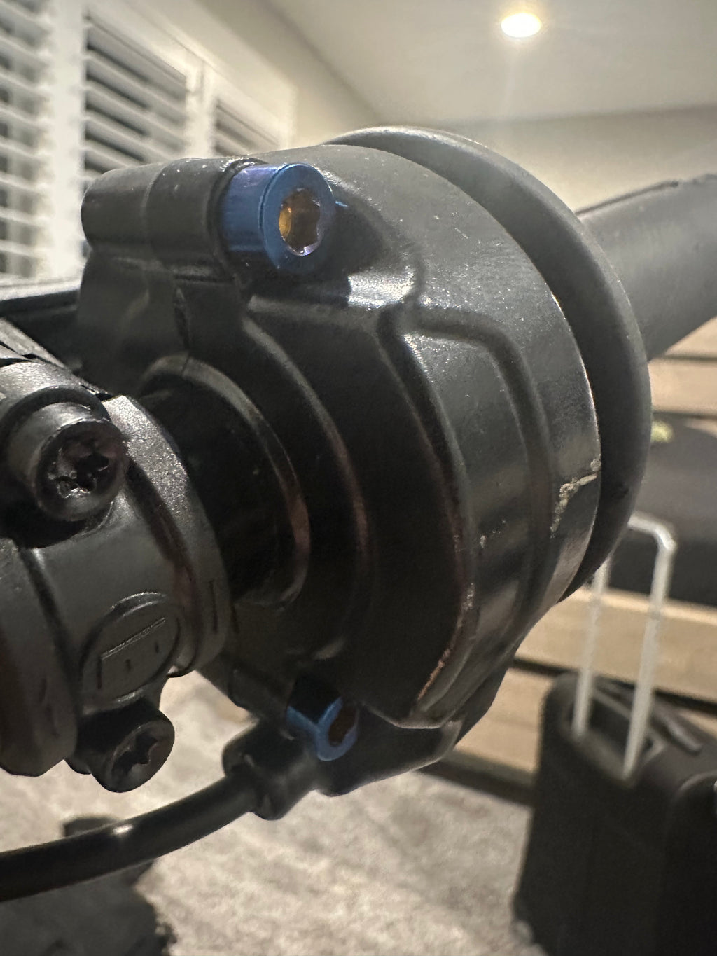 Titanium Throttle Bolts